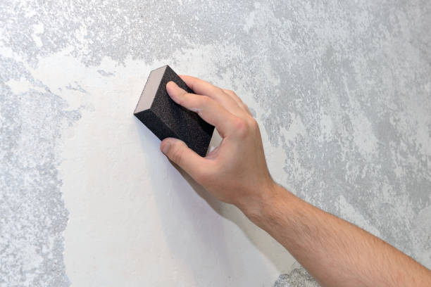 Best Attic Mold Removal  in Sierra View, PA